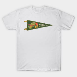 Chicago Chinatown Pennant T-Shirt